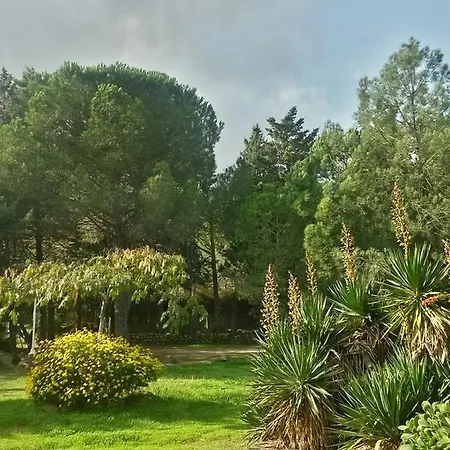 Les Grillons Villa Argeles-sur-Mer